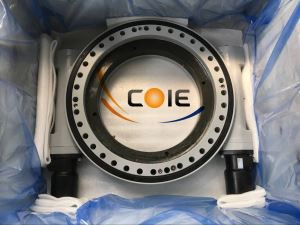 Doble cuc slewing unitat de gir anell